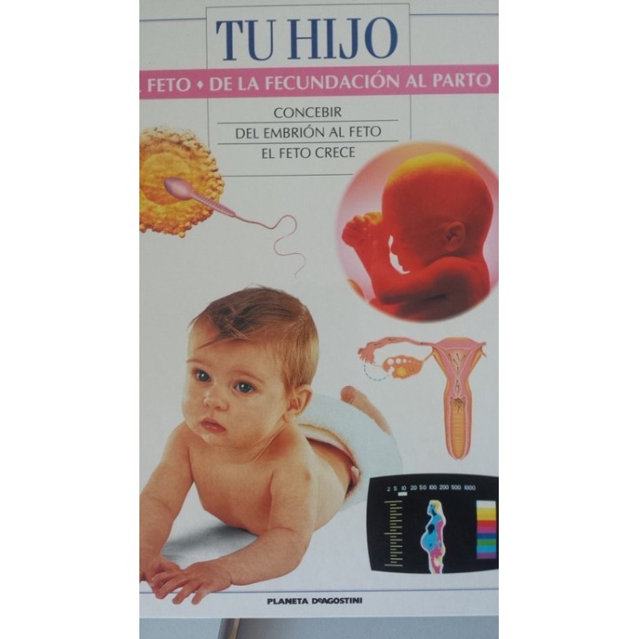 TU HIJO. EL FETO. DE LA FECUNDACION AL PARTO: CONCEBIR / DEL EMBRIÓN AL FETO / EL FETO CRECE